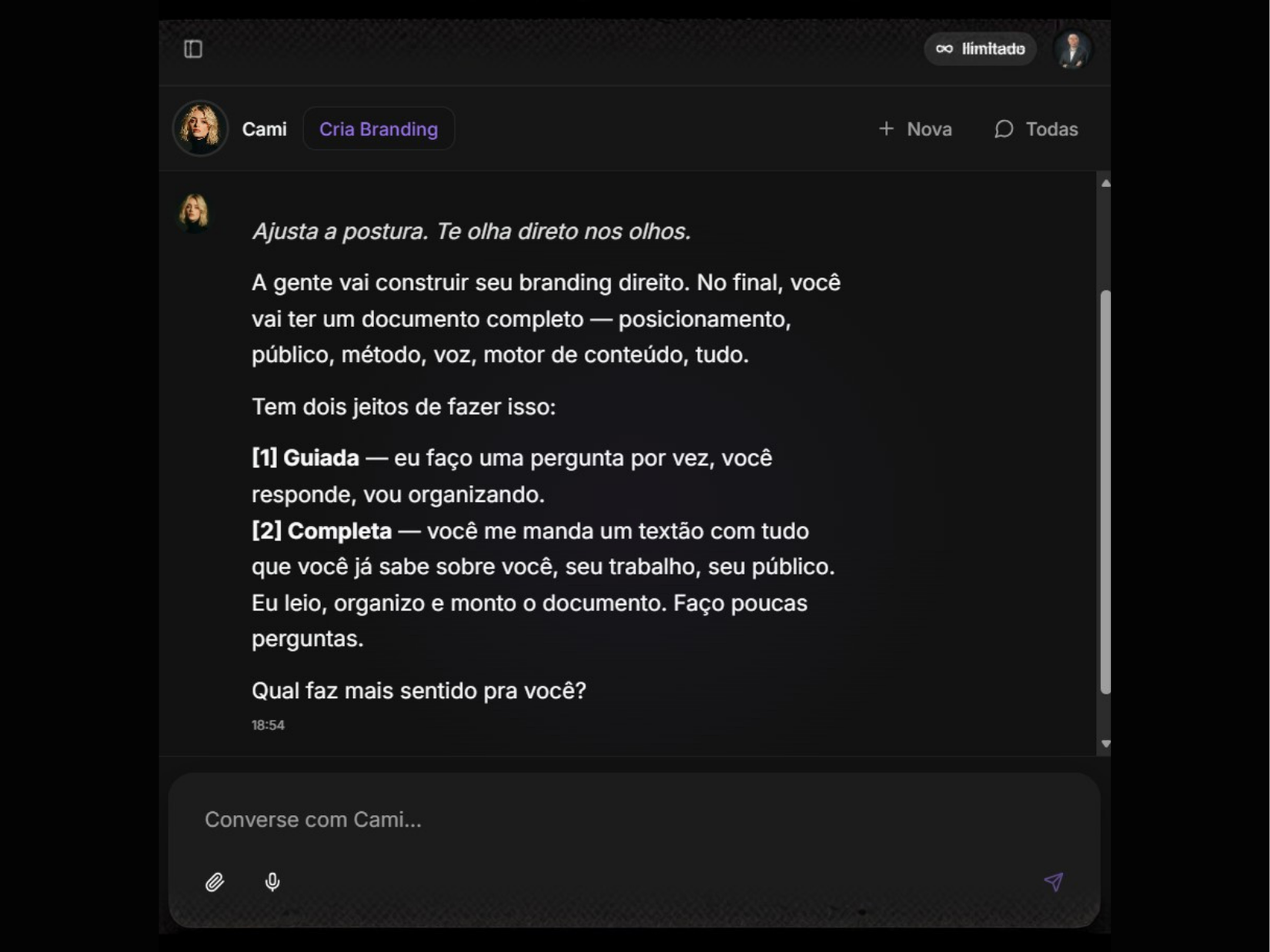 Criador de Branding Book